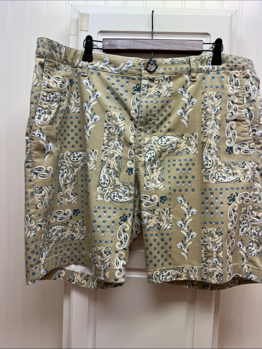 Tommy Bahama Beige Paisley & Dot Print Flat Front Shorts